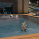Raccoon avatar in a pool